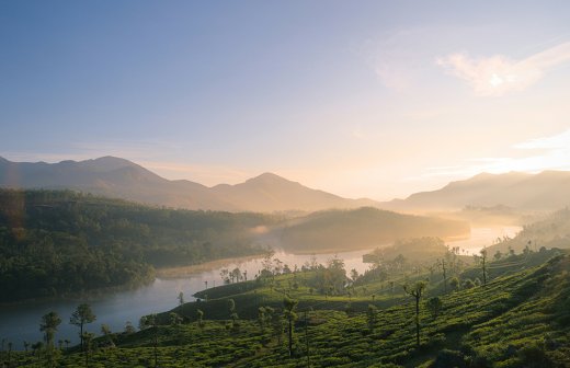 munnar blogs