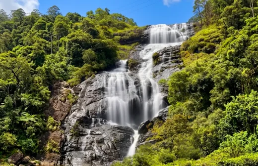 munnar blogs