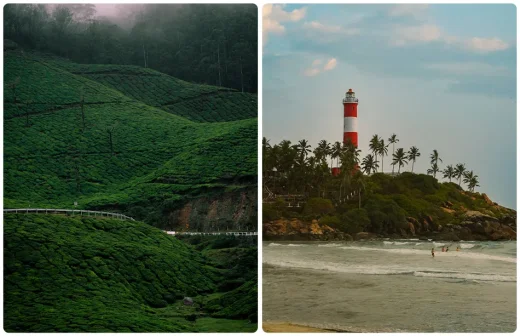 munnar blogs