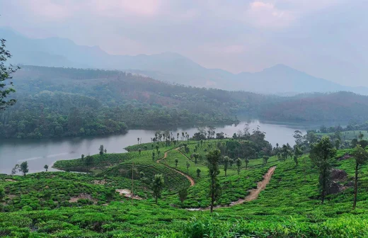 munnar blogs