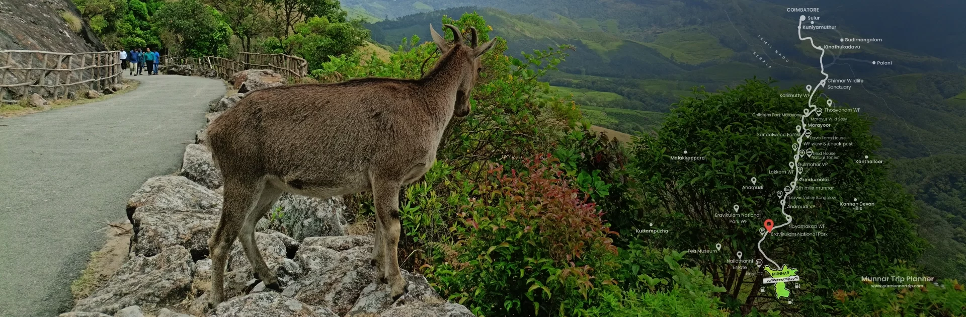 eravikulam national park timings