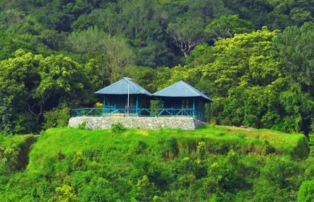 Log House