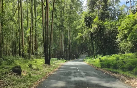 Road View