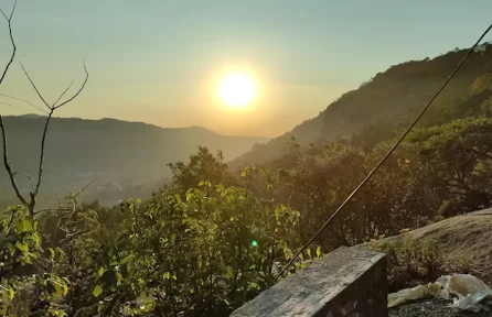 Morning View