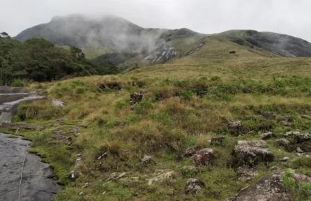 Photo Point Munnar
