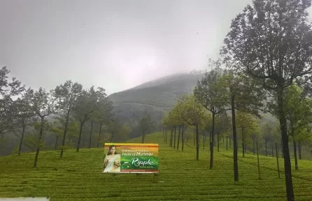 Photo Point Munnar