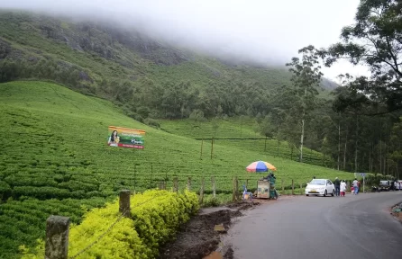 Photo Point Munnar