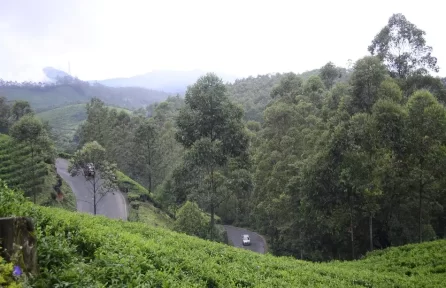 Photo Point Munnar