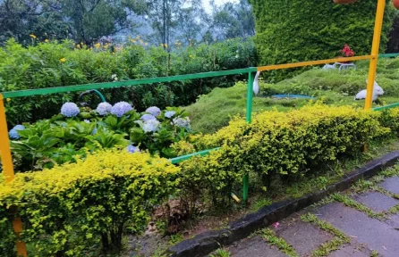 Rose Garden Munnar