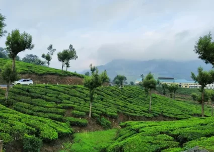 munnar kochi kerala tourist places