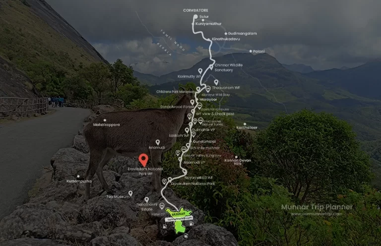 Eravikkulam national park Idukki