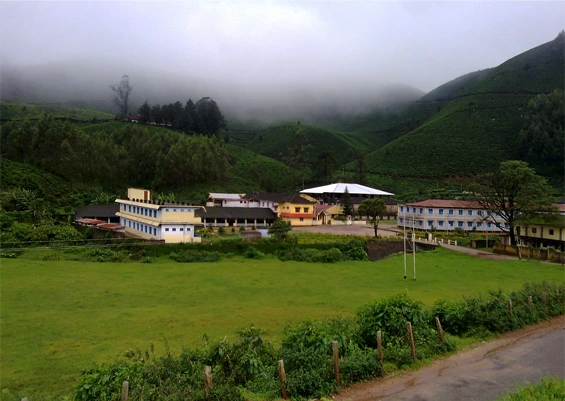 Tea Estate in Munnar, Kerala